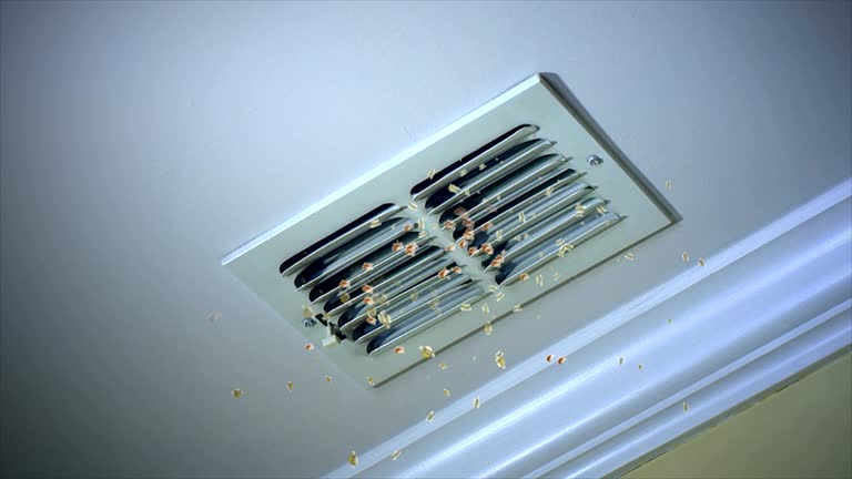 Best Ductwork Cleaning Services  in Kapaa, HI