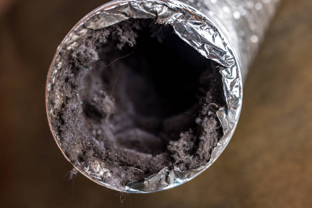 Best Affordable Duct Cleaning Services  in Kapaa, HI