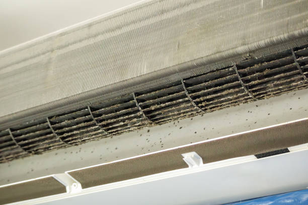 Best Air Vent Cleaning Services  in Kapaa, HI